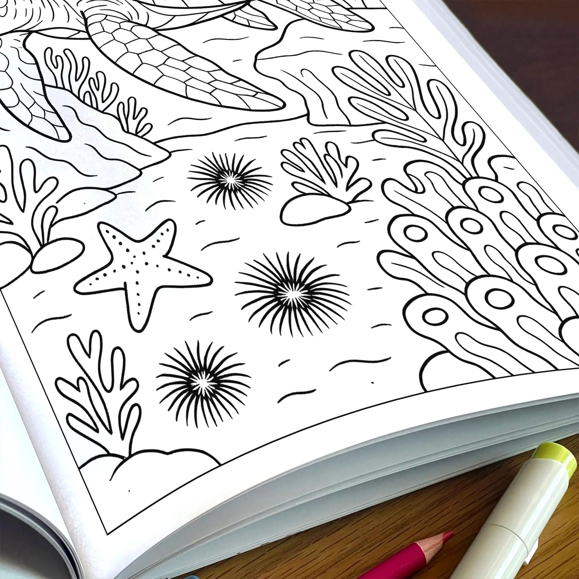 Hawaii Sea Life Journeys Coloring Pages – 48 Tropical Ocean Animal Designs - For Kids - image 6