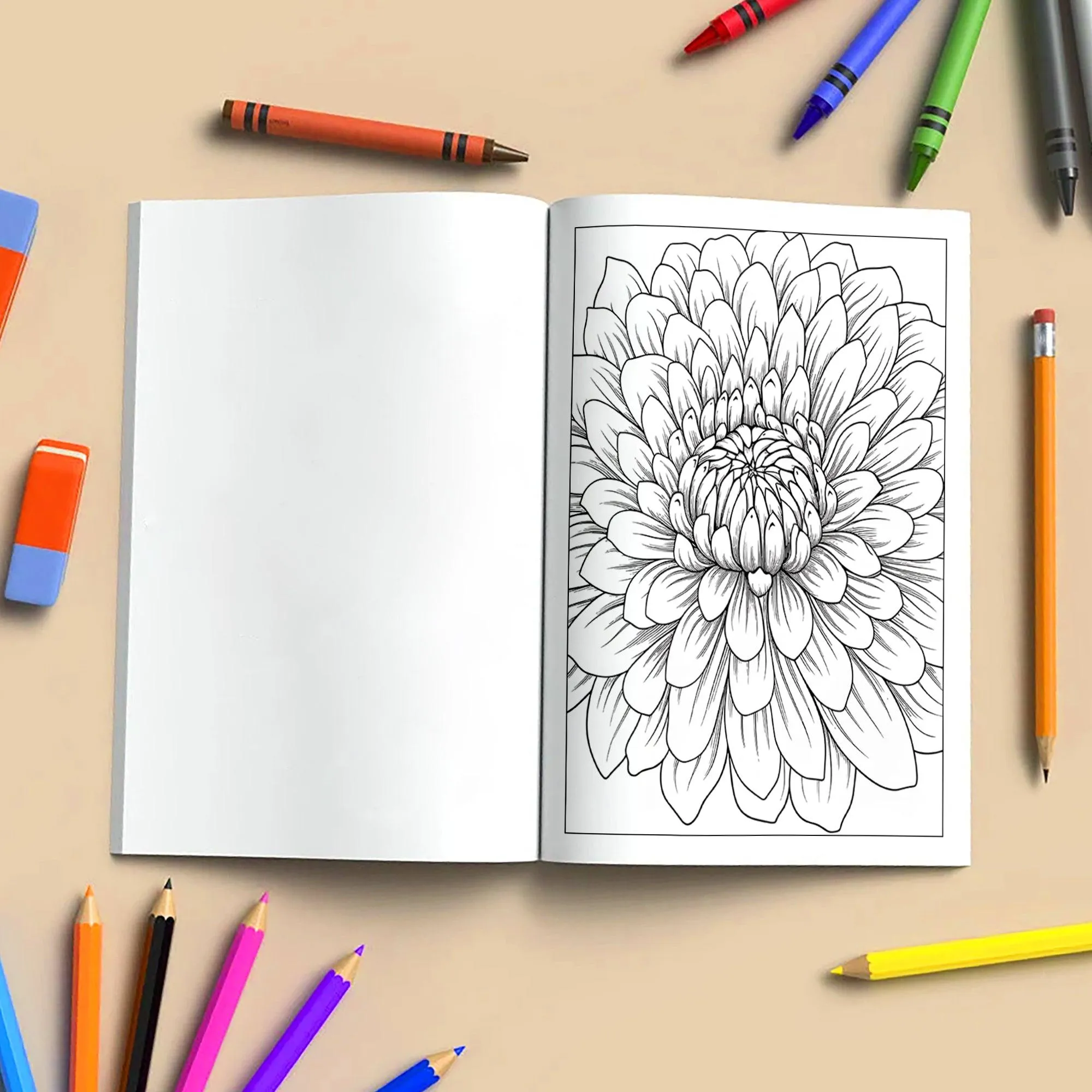 Chrysanthemum Charm Coloring Pages – 48 Pages – Beautiful Flower Art, Intricate Petals – For Adults - image 4