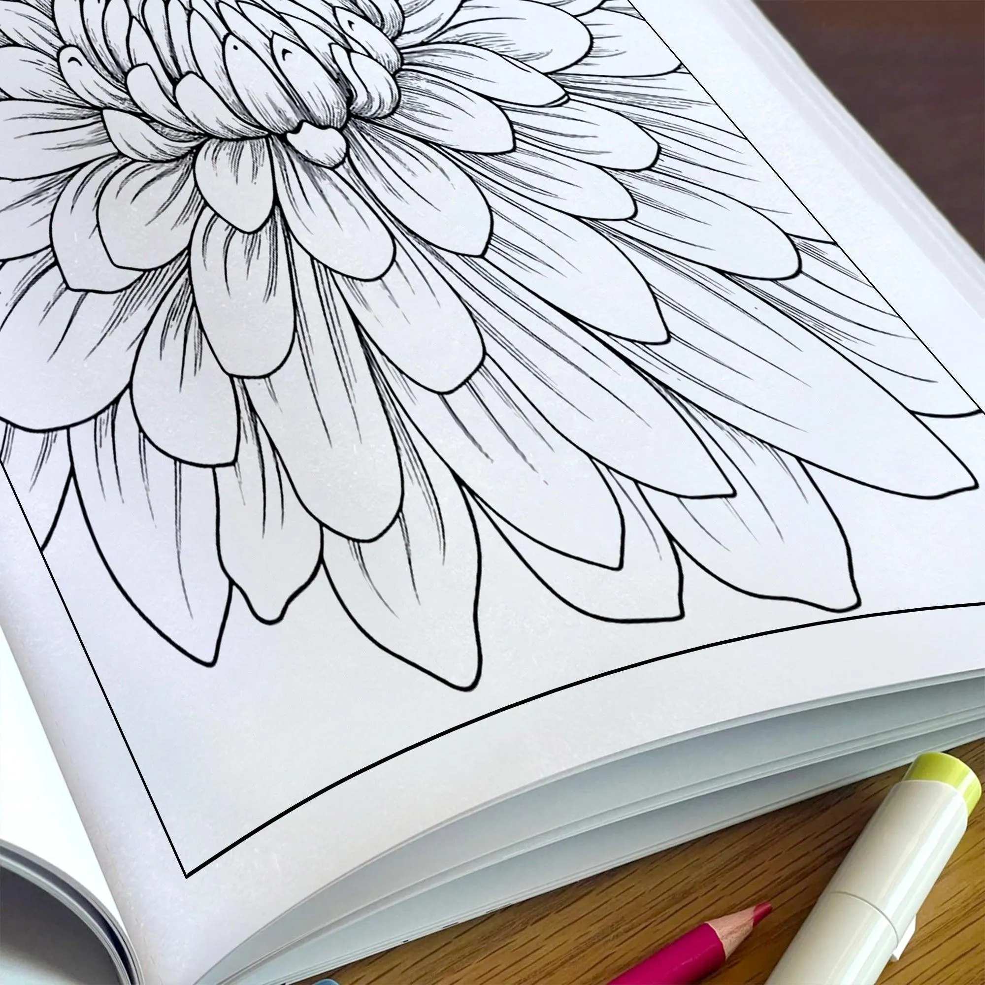 Chrysanthemum Charm Coloring Pages – 48 Pages – Beautiful Flower Art, Intricate Petals – For Adults - image 5