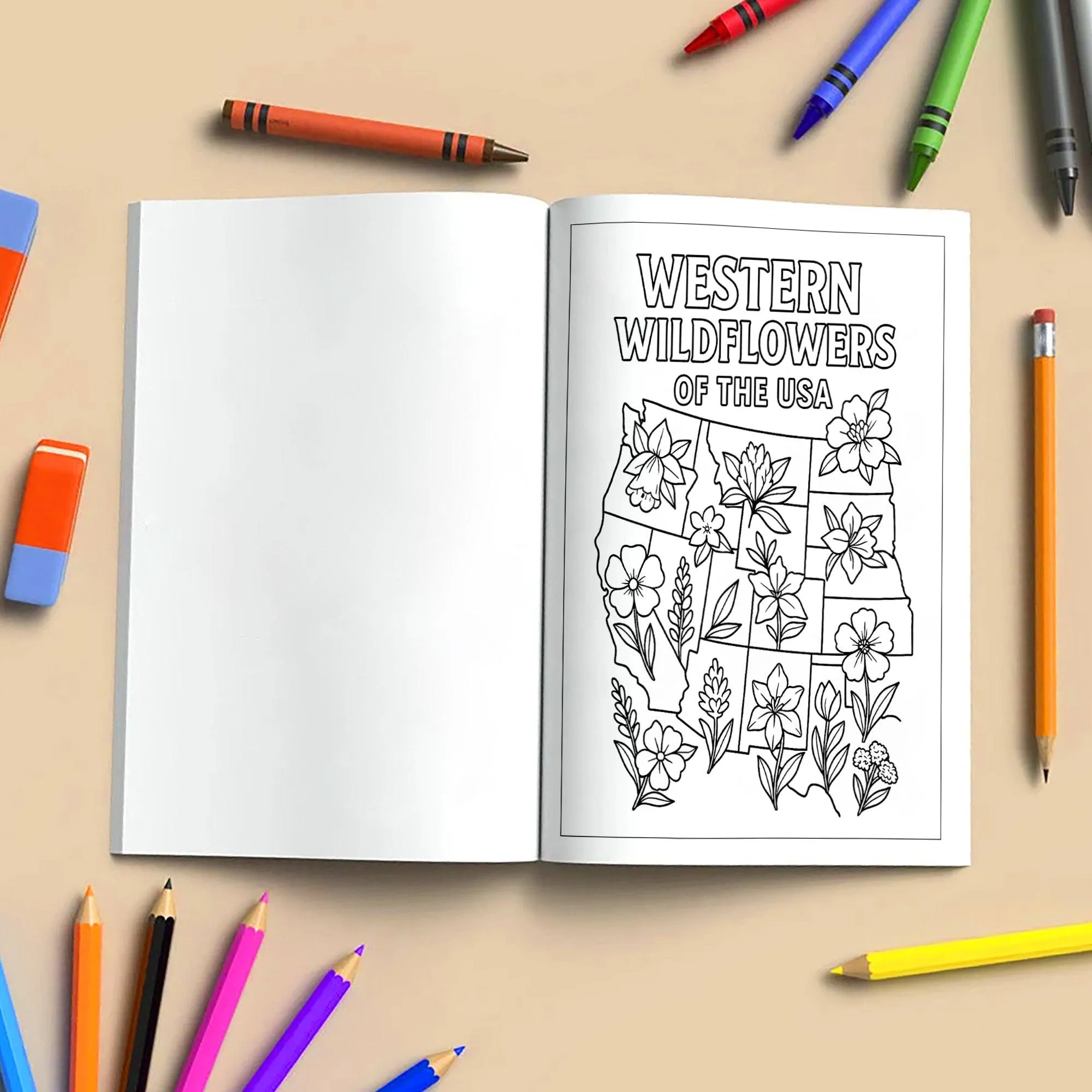 Floral Map of America – Coloring Pages – 48 State Flower Designs Across the U.S. – For Adults - image 5
