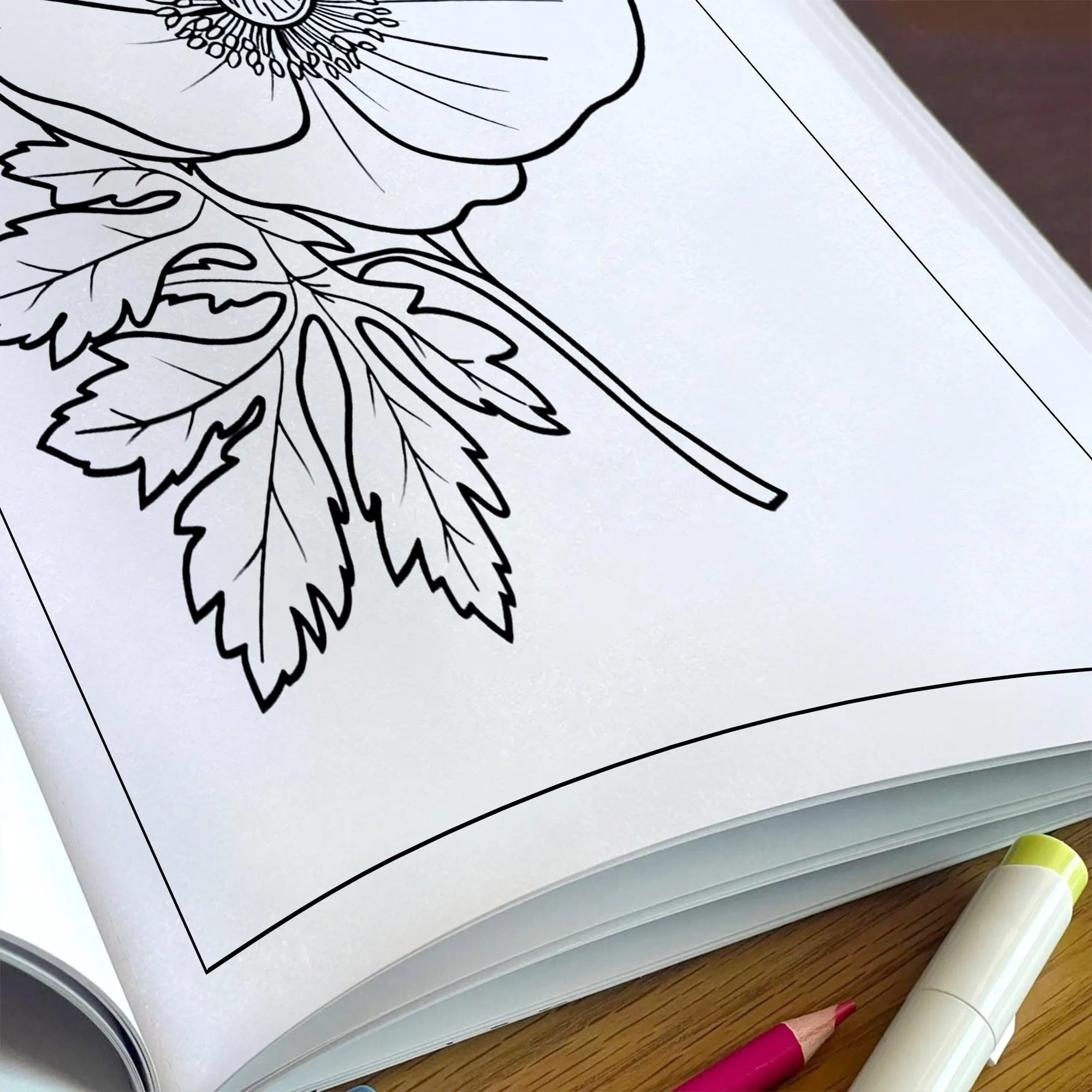 Garden Joy Spring Coloring Pages – 48 Pages – Lovely Flowers, Fresh Garden Designs, Spring Art – For Adults - image 5
