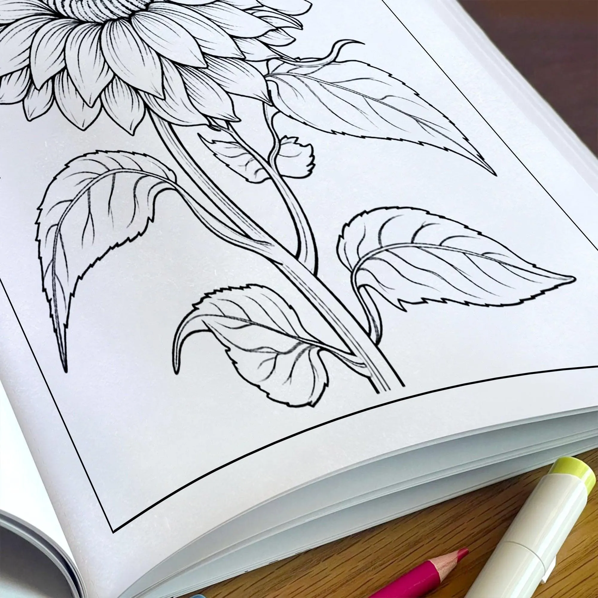 Sunflower Bloom Mandala Coloring Pages – 48 Floral Line Art for Adults - image 5